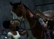 The Last of Us