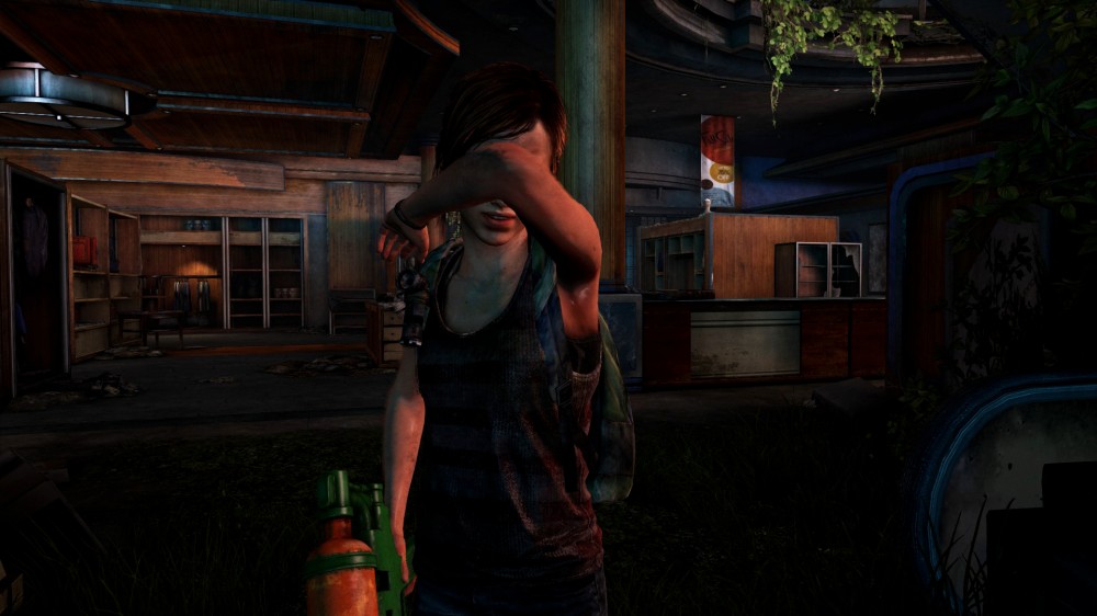 The Last of Us