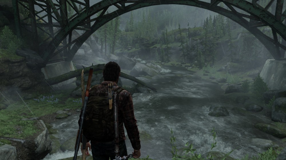 The Last of Us