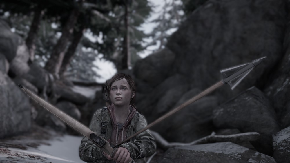 The Last of Us
