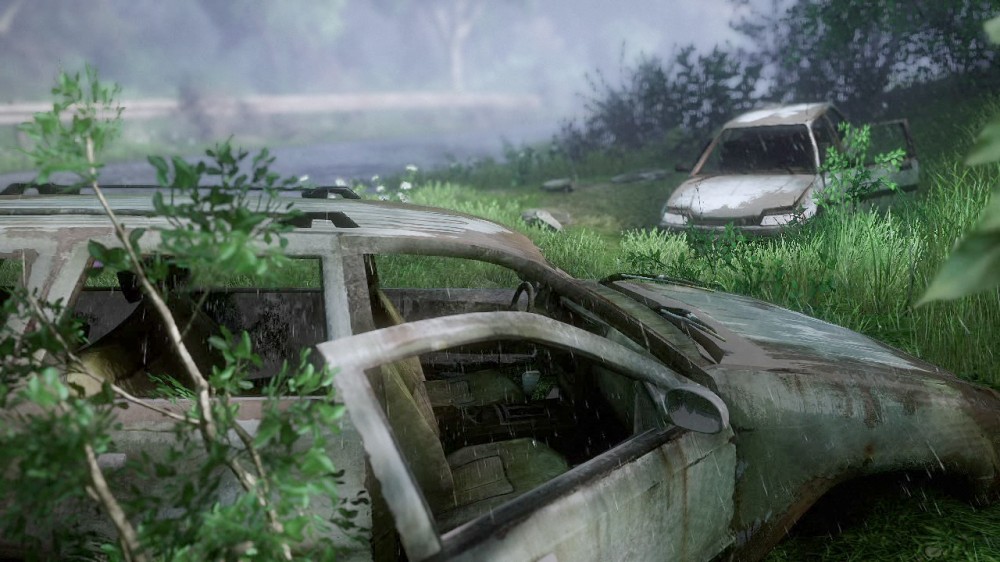 The Last of Us