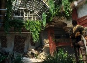 The Last of Us