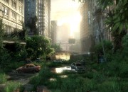 The Last of Us