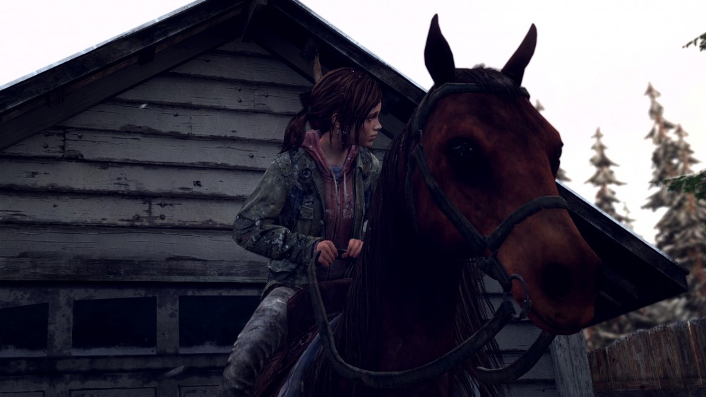 The Last of Us
