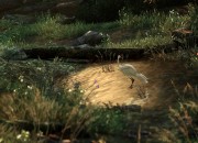 The Last of Us