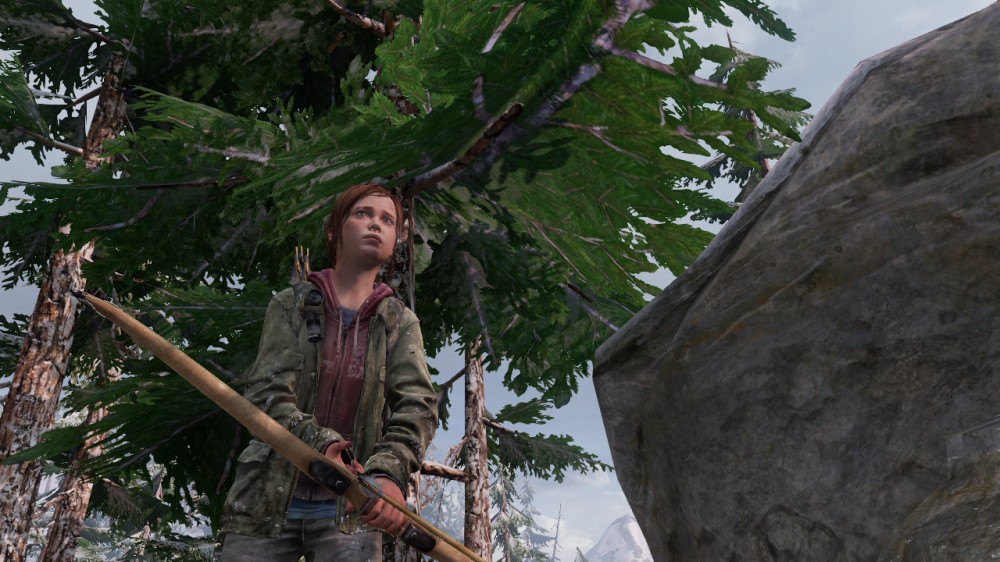 The Last of Us