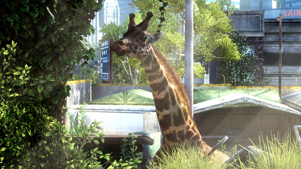 The Last of Us