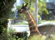 The Last of Us screenshot