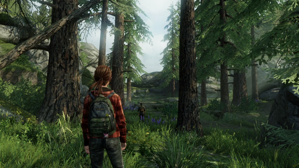 The Last of Us
