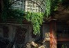 The Last of Us