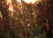 The Last of Us