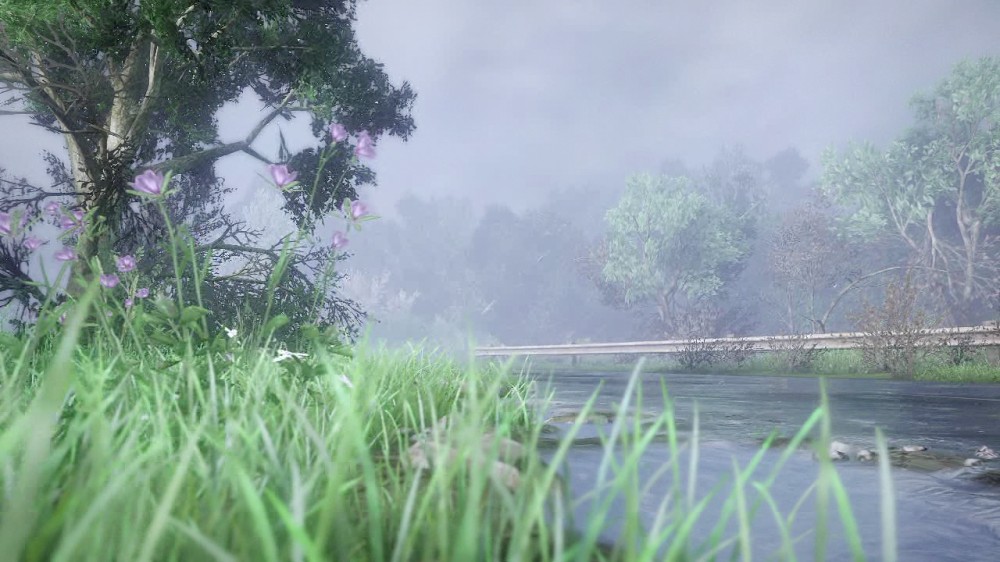 The Last of Us