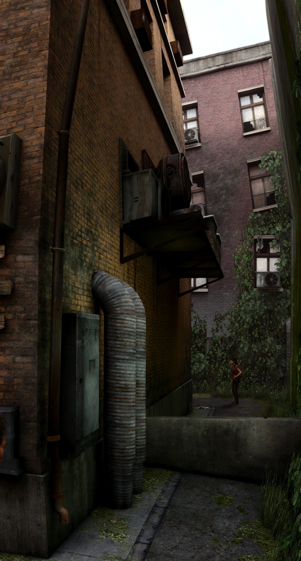 The Last of Us