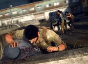 The Last of Us