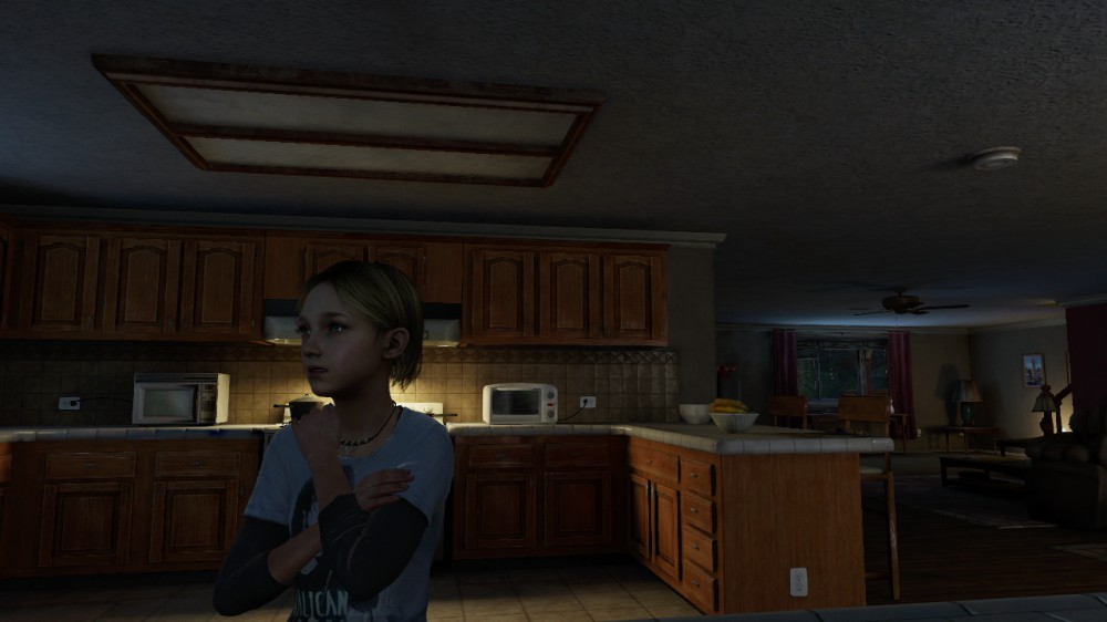 The Last of Us