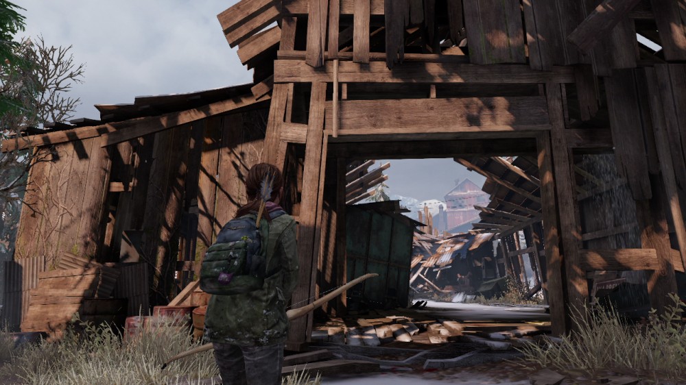 The Last of Us