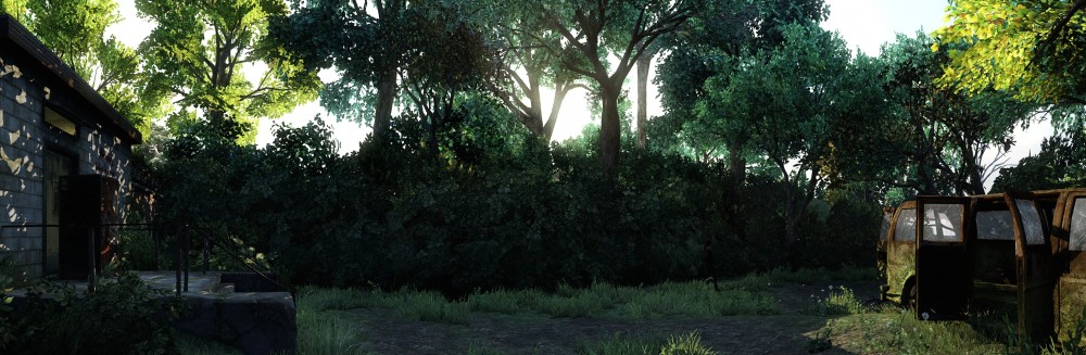 The Last of Us