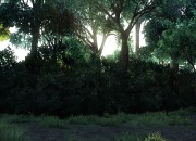 The Last of Us