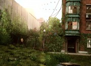 The Last of Us