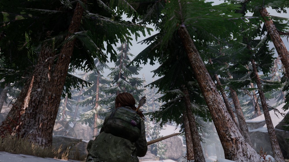 The Last of Us