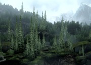 The Last of Us