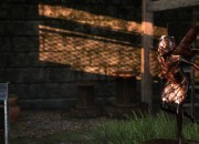 The Last of Us