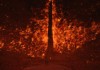 Spec Ops: The Line