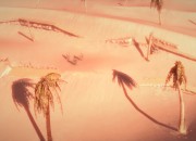 Spec Ops screenshot