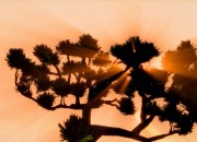 Spec Ops screenshot