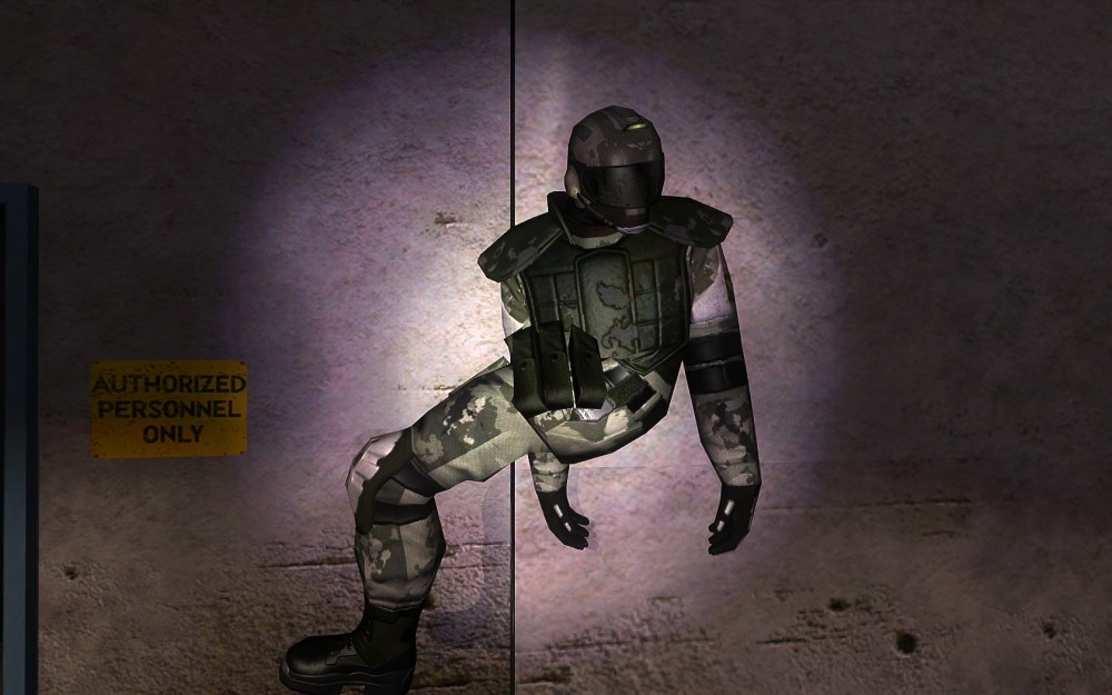 F.E.A.R.