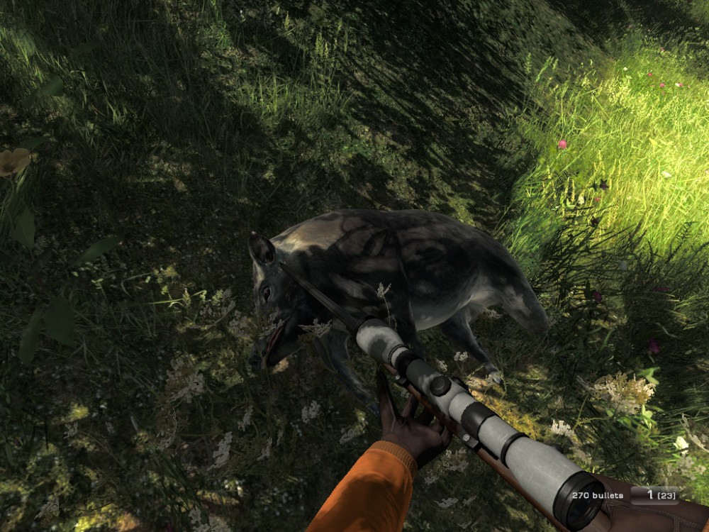 The Hunter
