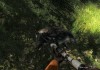 The Hunter