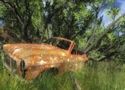 The Hunter screenshot