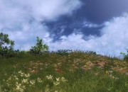 The Hunter
