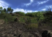The Hunter