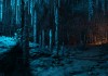 Dear Esther