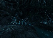 Dear Esther