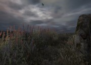 Dear Esther