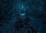 Dear Esther screenshot