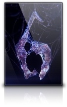 Resident Evil 6 cover