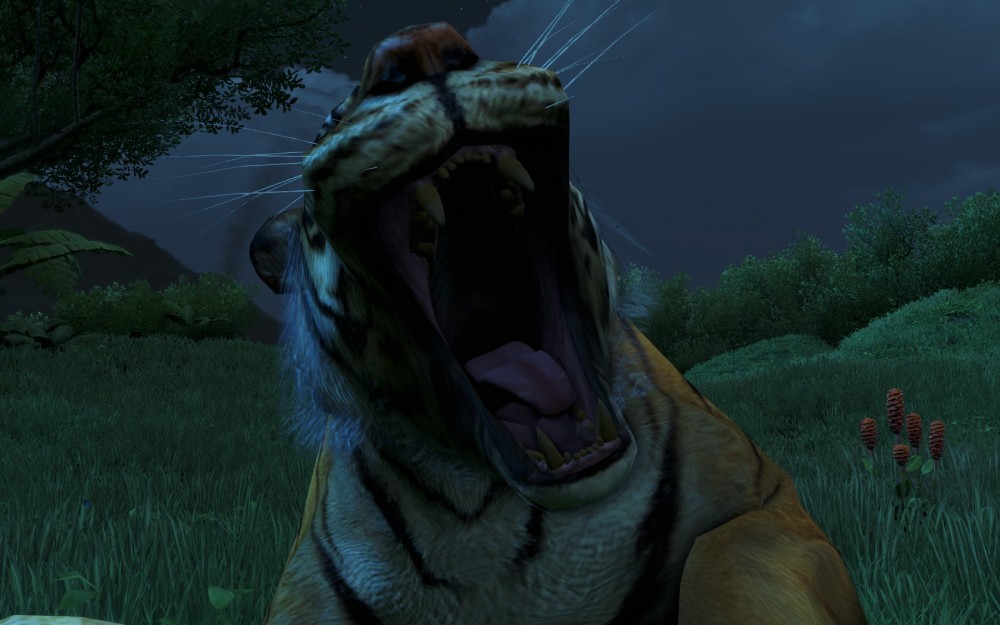 Far Cry 3