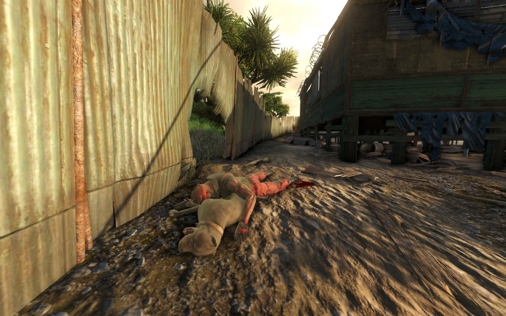 Far Cry 3