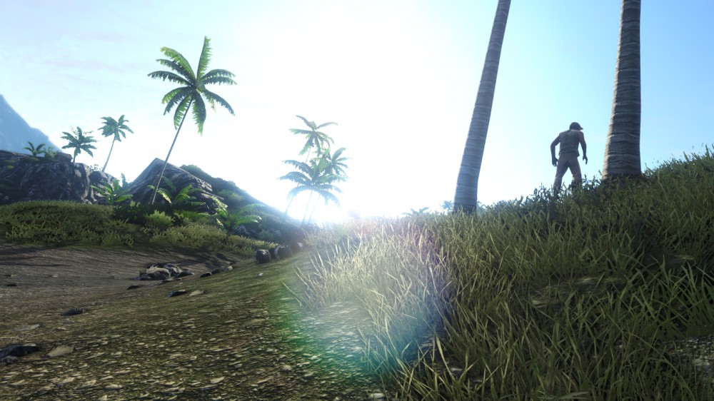 Far Cry 3