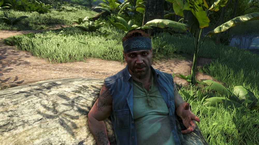 Far Cry 3