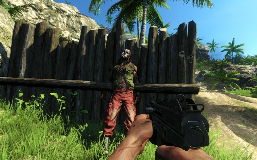 Far Cry 3
