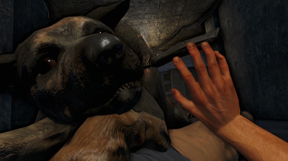 Far Cry 3