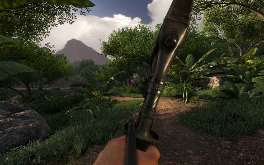 Far Cry 3