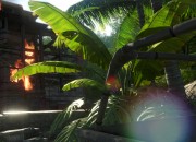 Far Cry 3