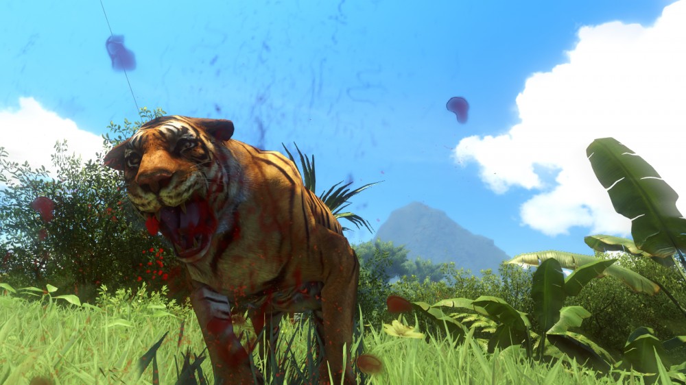 Far Cry 3