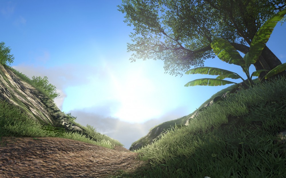 Far Cry 3